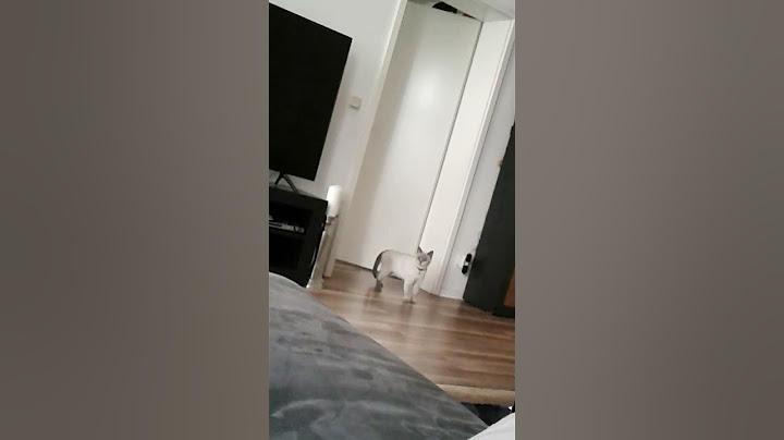 ihr seid DUMM 🖕