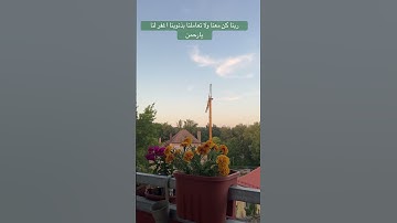 #تلاوة_خاشعة #محمد_ديبيروف #تلاوة_هادئة #المانيا #اسلامصبحي #القران_الكريم #لاتحزن_إن_الله_معنا