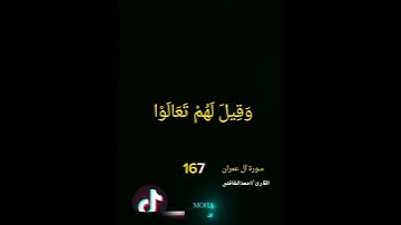 #سورة آل عمران الايات166.167