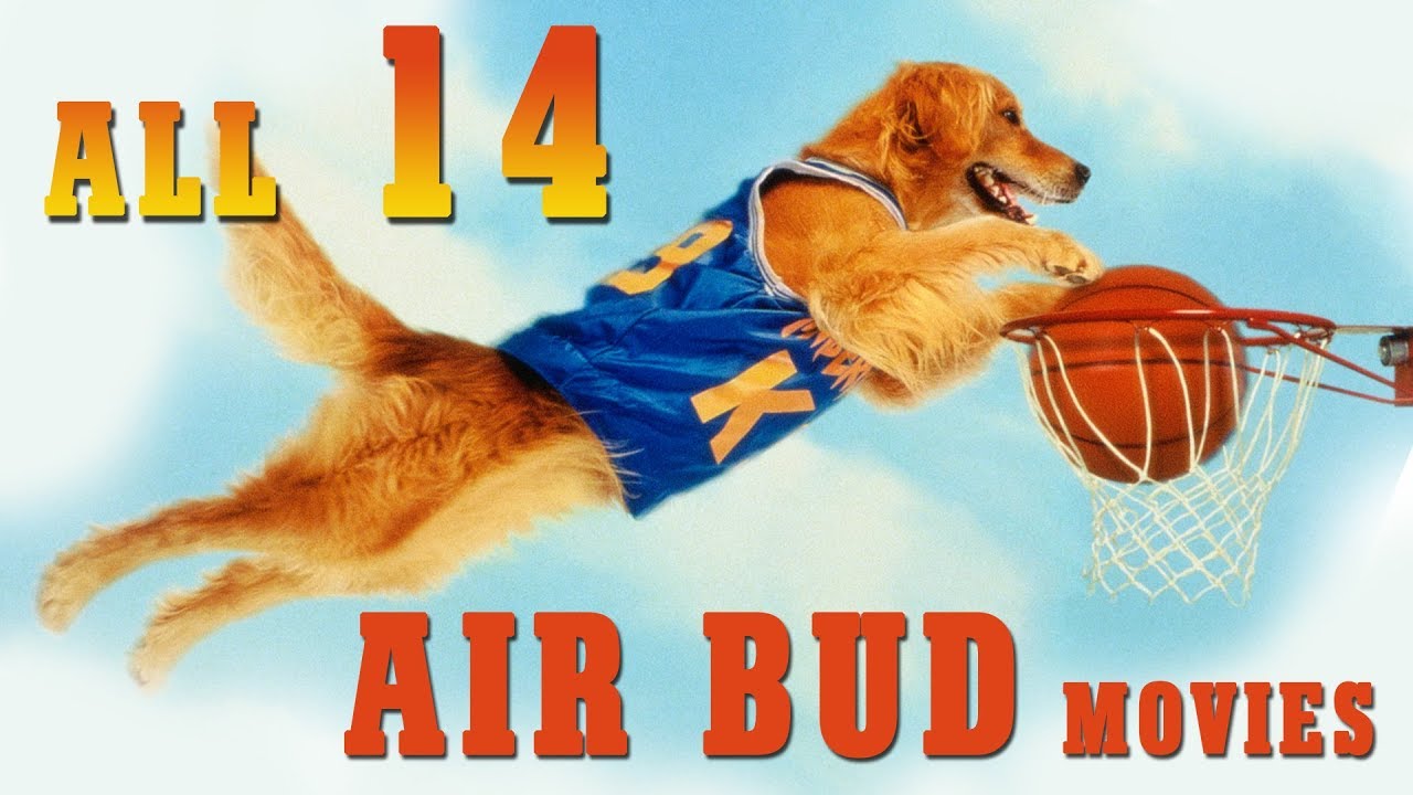 Air Bud All 14 Movies - Youtube