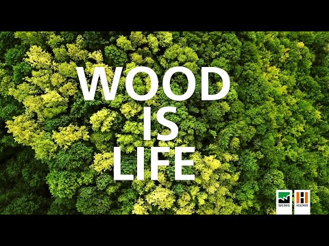 Wood is Life: WEINIG Group