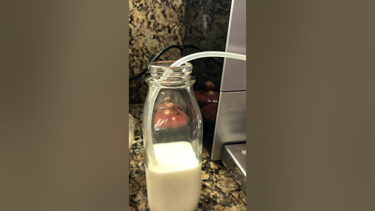 How To Solve The Issue With Your Jura ena 9 Milk Frother System No
