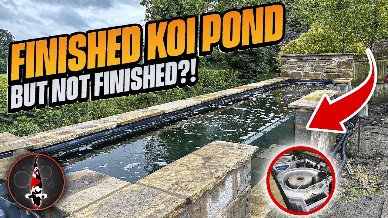 ДЛИННЫЙ ПРУД ОБЪЕМОМ 5500 ГАЛЛОНОВ...**НЕ ПОКАЗЫВАЙТЕ СВОЕМУ ПАРТНЕРУ!!**