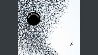 What Light - Wilco