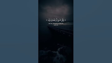 واذكر ربك اذا نسيت وقل عسى ان يهديني ربي… | القارئ محمد صديق المنشاوي