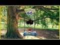 DIA DA COMUNIDADE DE JUNHO REVELADO! POKÉMON GO POKENEWS