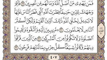 سورة الروم / محمد صديق المنشاوي