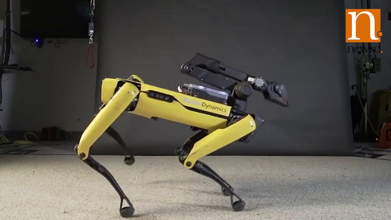 Boston Dynamics Robo Dog Has Some Must See Dance Moves Youtube