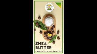 Shea Butter Benefits - Why Its a Miracle Beauty Product & How Does It Work shorts