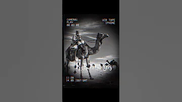 القصيدة المقصوره للمتنبي اسامه الواعظ 