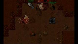 Nioz bot en mtibia -Goroma-