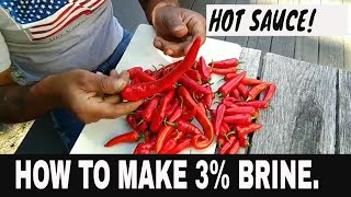 HOW TO MAKE FERMENTING SALT BRINE FOR HOT SAUCE-3%