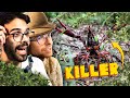 Quando gli ANIMALI finiscono nel POSTO SBAGLIATO | Lo Zoo di Dario e Willy (ft. ZooSparkle)