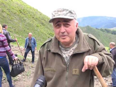 ვეტერანების საქმეთა სახელმწიფო სამსახური ბორჯომის ტყის აღდგენის კამპანიაში ჩაერთო