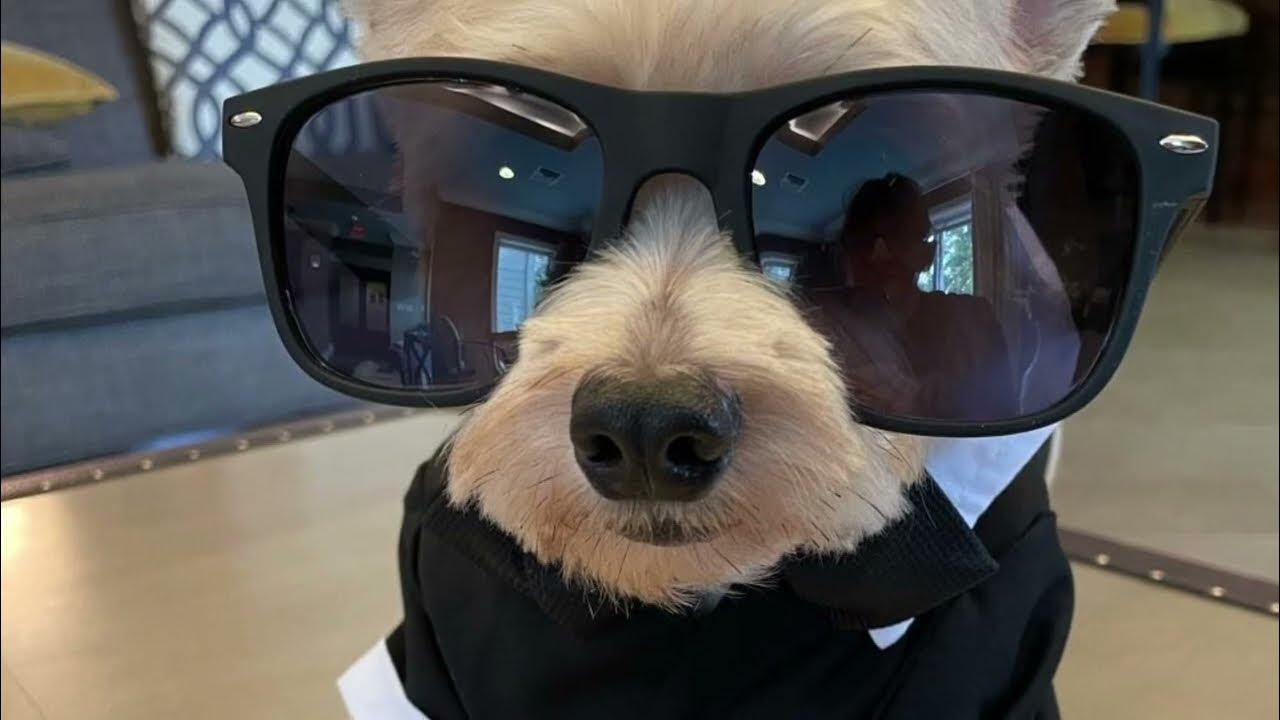 fast funds payday loans