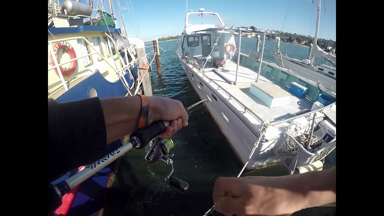 Fishing in Lake Entrance YouTube