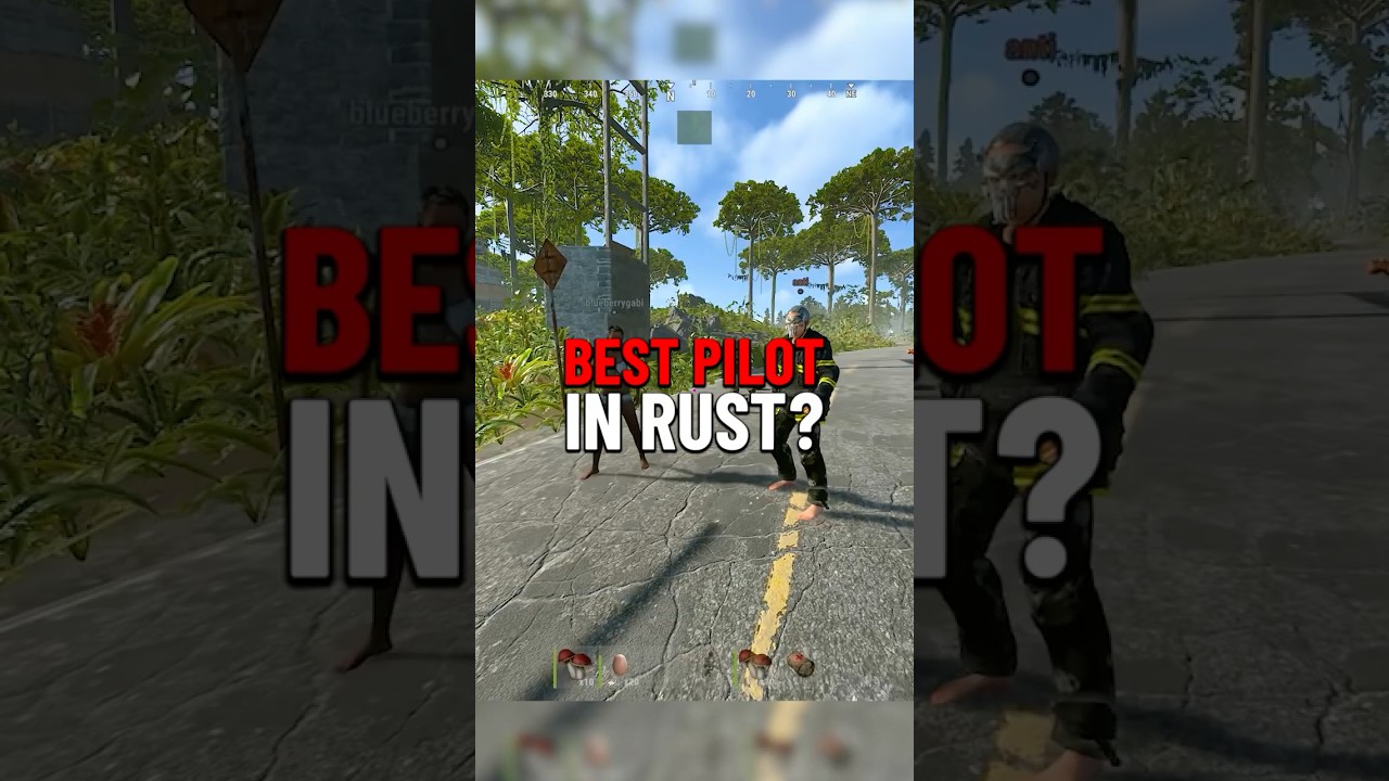Best Pilot in Rust 😭🙏 #shorts #coconutb #rust