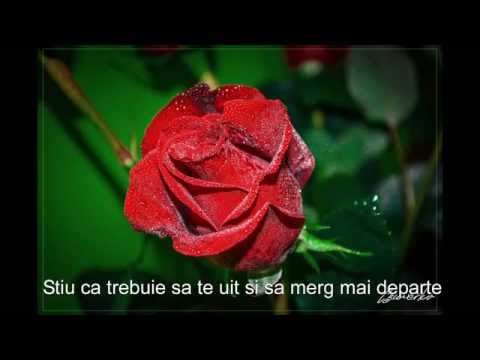 Celine Dion - Just Walk Away (Subtitrare in limba Romana)