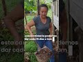 #campo #agriculturaregenerativa #organicos #sostenible #agro