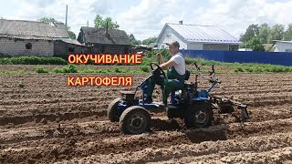 Окучивание картофеля мотоблоком с передним адаптером.