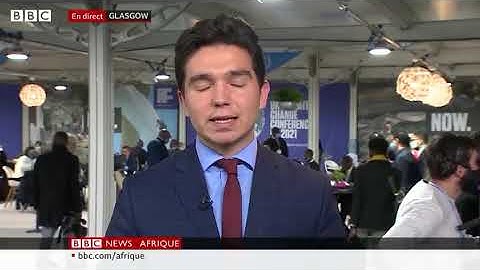 Save Congo Basin. End deforestation. 