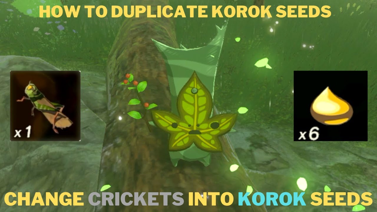 How do I duplicate Korok seeds?