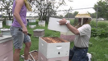 Adding a Brood Box