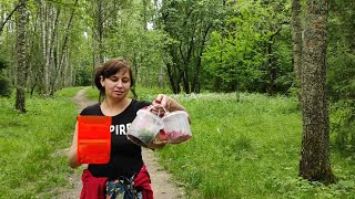 Открываем сезон Пошли за ягодой в Пушкинский лес влог