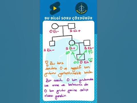 TYT Biyoloji | Kan Grubu Soy Ağaçları Sorularında Dikkat! | Bu Bilgi ...