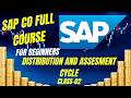 SAP CO Cost Allocation: Distribution and Assessment Cycles Setup