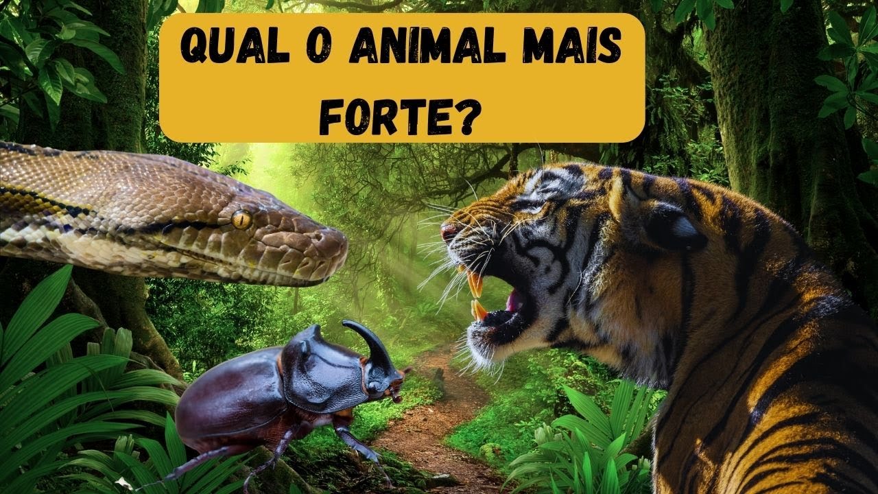 Os ANIMAIS mais FORTES e PODEROSOS do MUNDO - YouTube