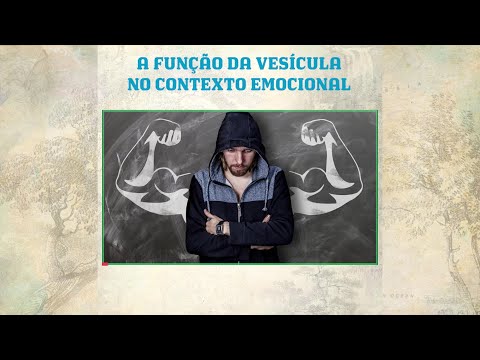 Vídeo: Qual órgão é de origem ectodérmica?