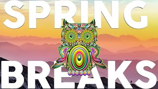 Summer Breaks 2022 Mix - Culturama ||| 1 HOUR BREAKS MIX! | WORKOUT MIX | DANCE| EDM | WORK FAST MIX