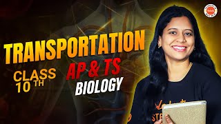 Transportation | Class 10th Biology | AP & TS SSC 2026 | Sunaina Ma’am
