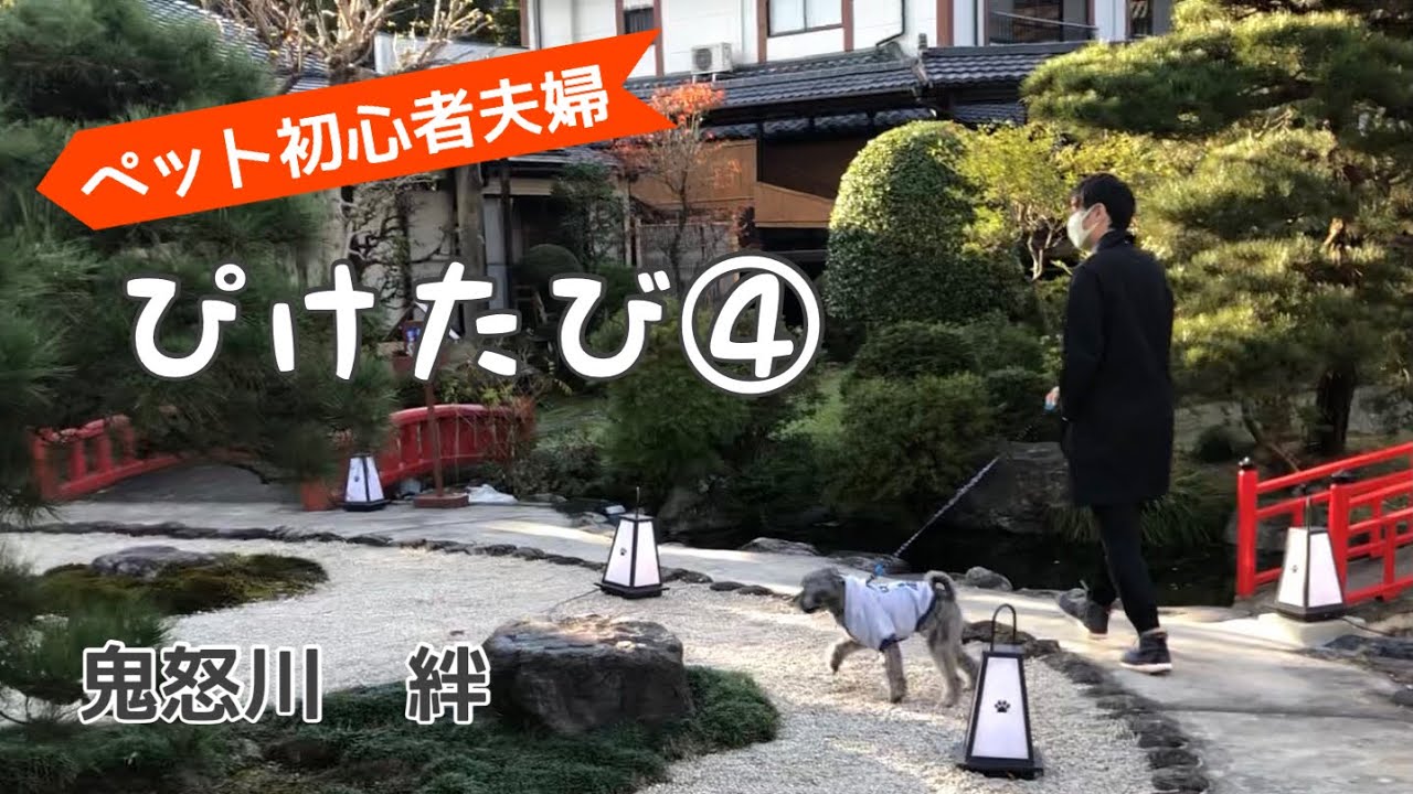 ぴけたび 鬼怒川温泉 絆 Youtube