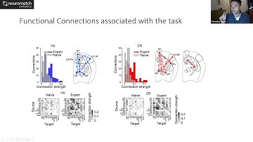 Talk: Mesoscale brain dynamics reorganizes and stabilizes during learning tactile discrimination ta…