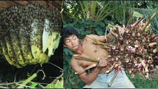 Arrowroot and bees