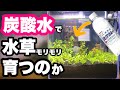 炭酸水で水草モリモリ育つのか【足し水だけで光合成促進】