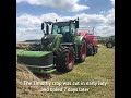 Sowing and growing a successful pure Timothy Ley
