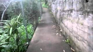 MADEIRA Vereda da Achadinha