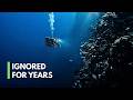 They Found Something Ignored for Years Beneath the Ocean’s Crust