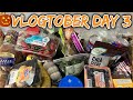 Huge Aldi Grocery Haul | Vlogtober 2022 Day 3