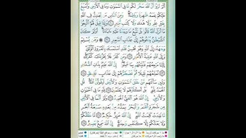 سورة لقمان الآية 21 تلاوة الشيخ أيمن سويد #قليل_دائم_خير