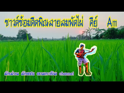 ซาวด์ซ้อมดีดพิณลายลมพัดไผ่    คีย์  Am / มักม่วน มักแซบ ตามกะเยิม Channel