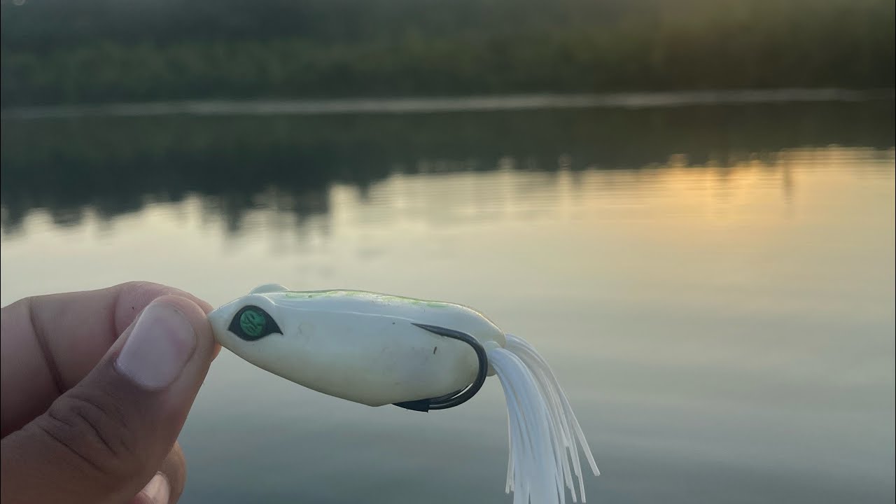 Bass fishing with Frogs (pet gator)