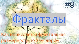 #9. Как вычисляется фрактальная размерность по Хаусдорфу | Фракталы на Python