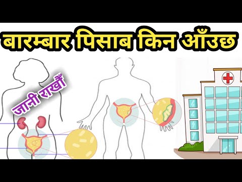 बारंबार पिसाब आईरहने हारू पेशाब की समस्या के लक्षण || नेपाली स्वास्थ्य युक्तियाँ