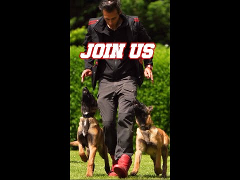 Master View Path MVP TEASER JOIN US shorts