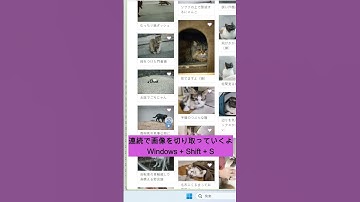 Windowsのコピペ便利技🤐#shorts #excel #エクセル #エクセル関数 #主婦の勉強 #社会人の勉強 #windows #パソコン教室 #事務職 #勉強