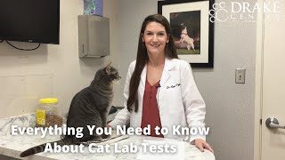 Everything You Need to Know About Cat Lab Tests